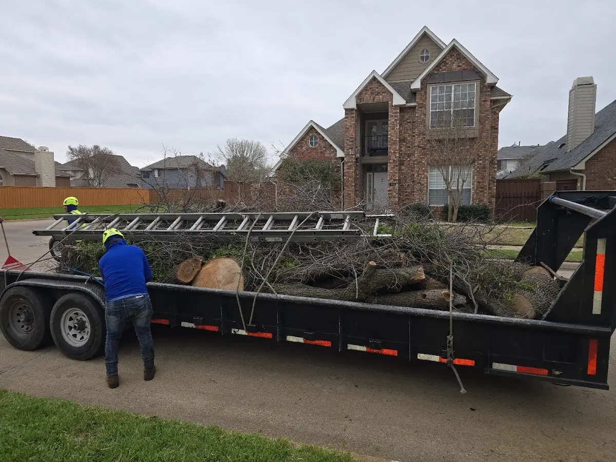 Expert Lot Clearing with proper safety equipment in Grant